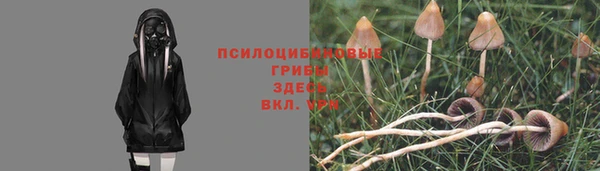 мяу мяу кристалл Горно-Алтайск