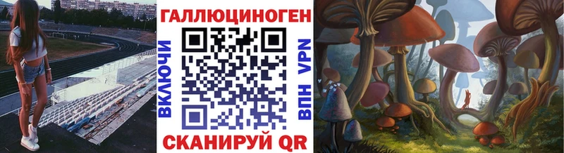 купить  сайты  Мценск  Галлюциногенные грибы мухоморы 