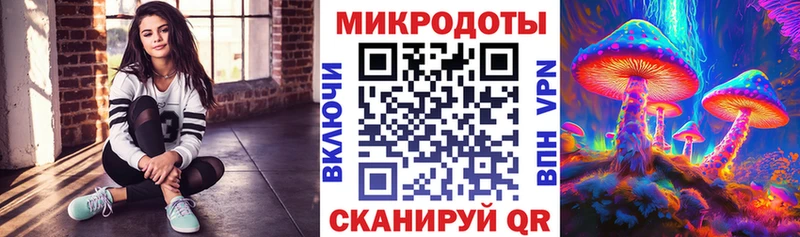 Псилоцибиновые грибы Psilocybe Мценск